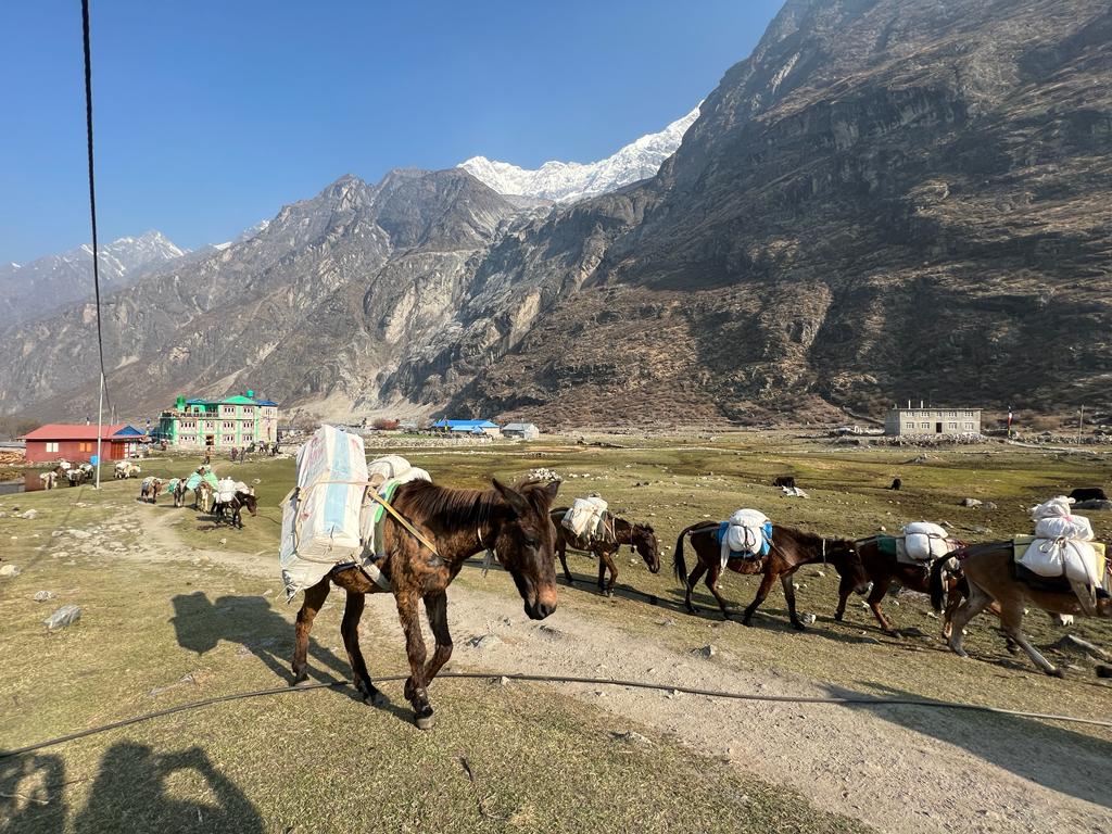 Langtang and Gosaikunda Trek gallery image 2